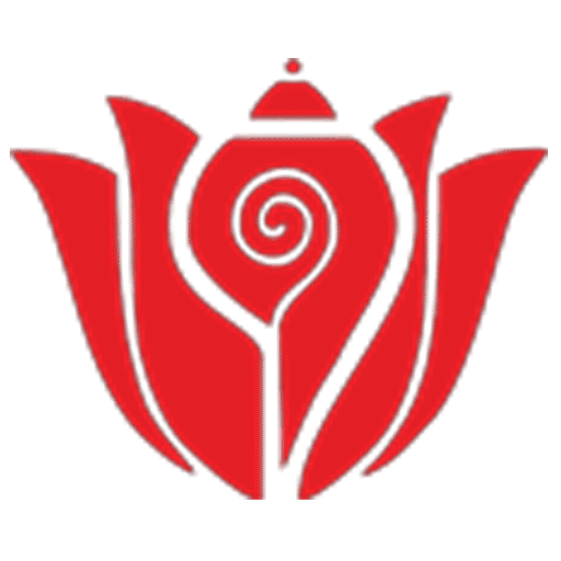 Step inside our world and see what makes us unique.